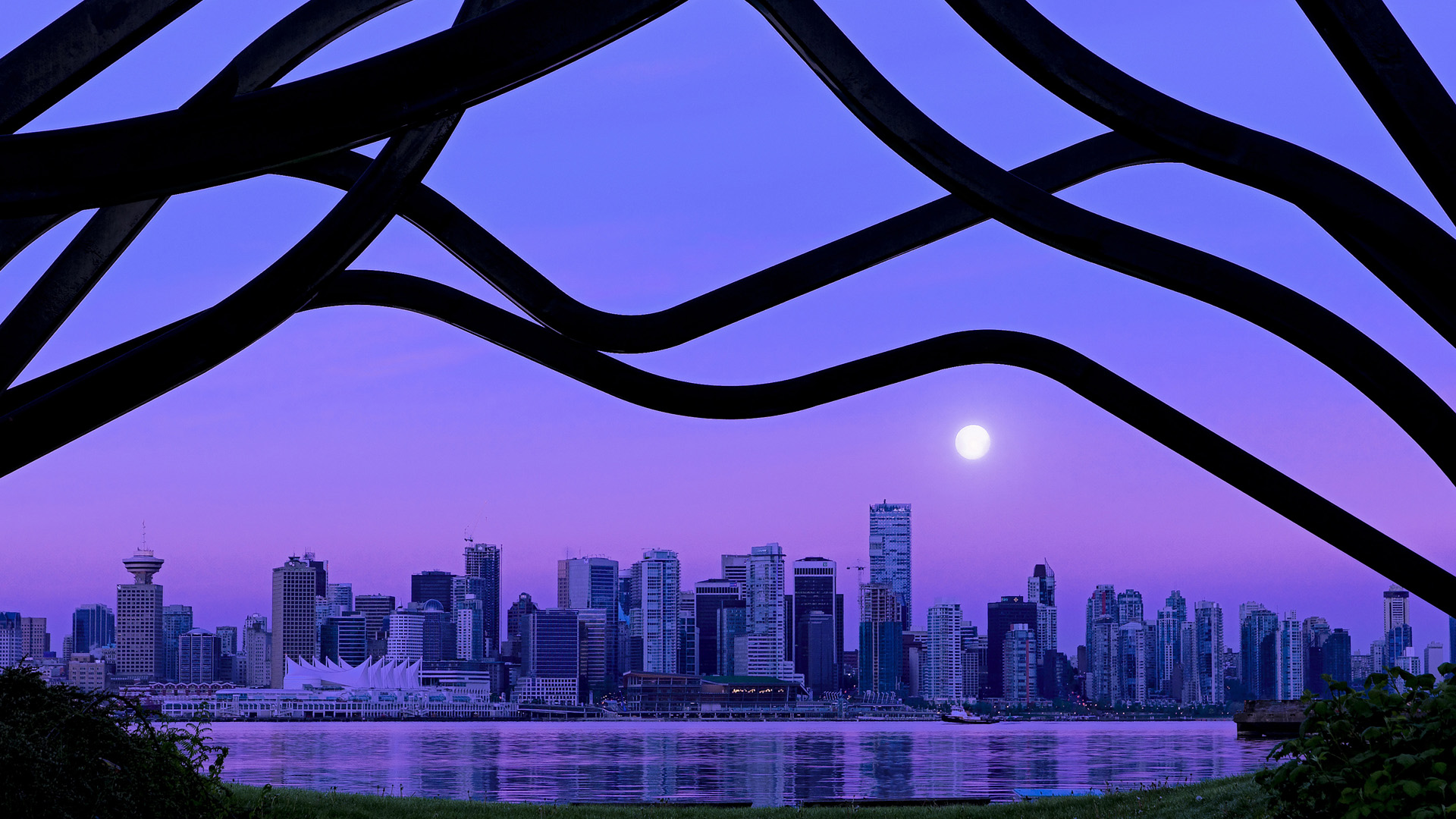 _年度最佳单场比赛:精彩回放引爆全场_,单场最高得分