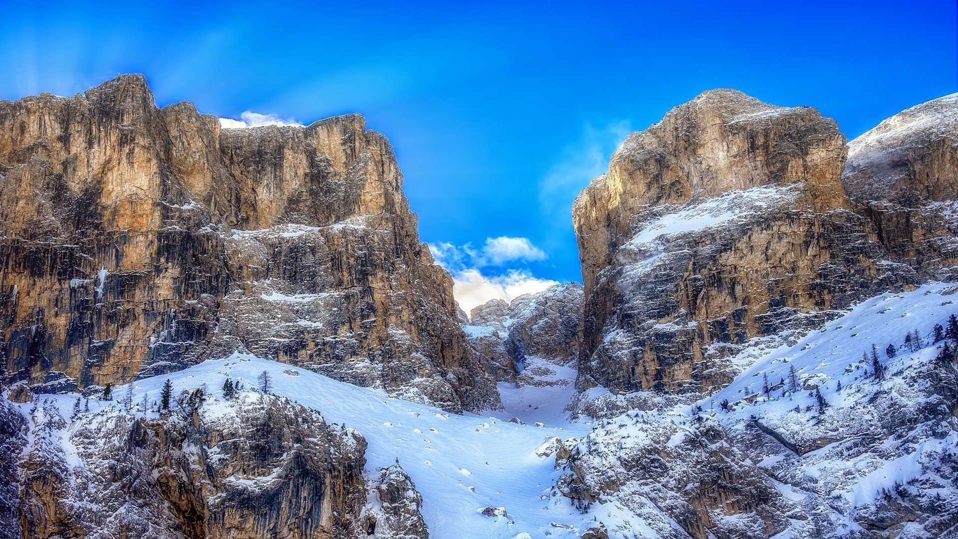 -_城市绿道：自行车与网球结合的多运动赛事_，自行车与汽车比赛