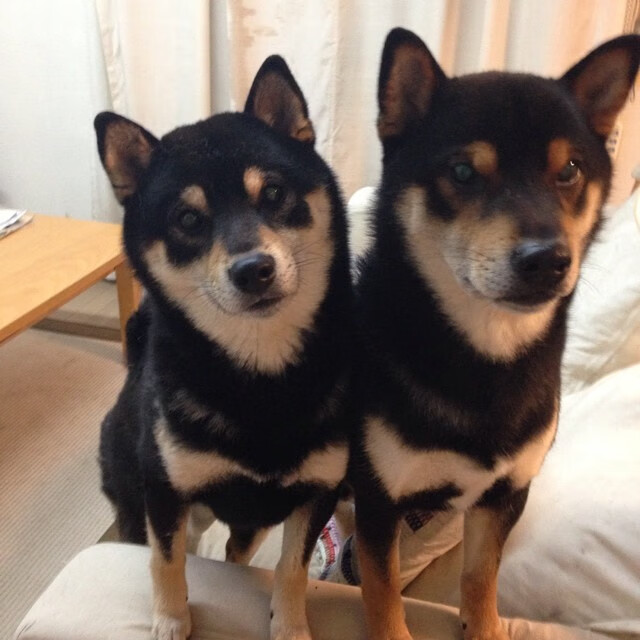 _户外探险营:打造勇者精神的运动氛围_,户外探险什么意思