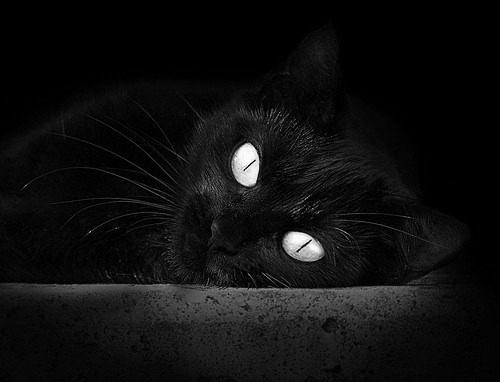 九游app官网下载-【数据驱动】根据统计数据解析球队表现，球员数据分析