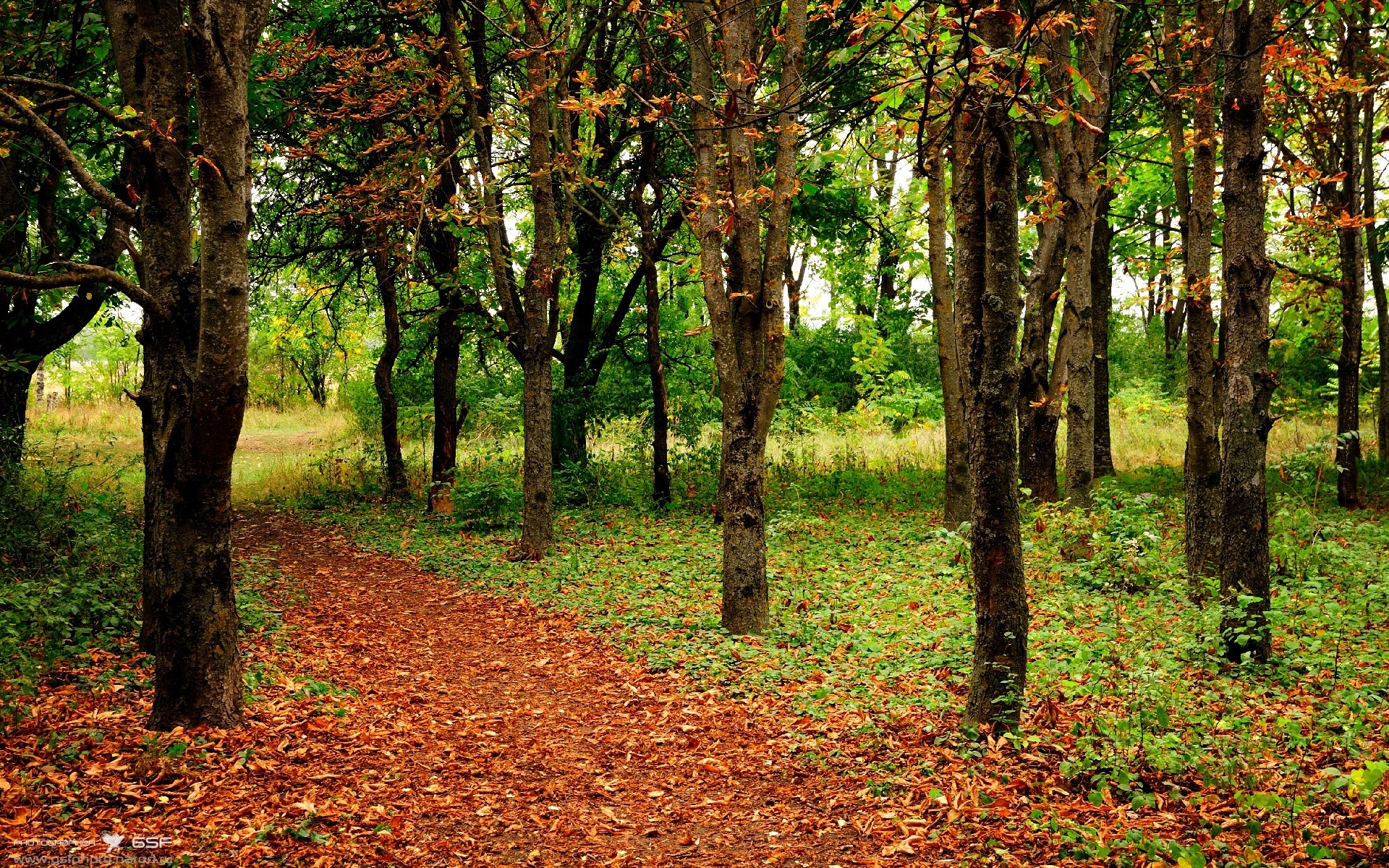 JIU YOU GAME-意甲：拉齐奥持续强势，稳居前三位置，拉齐奥意甲冠军哪年