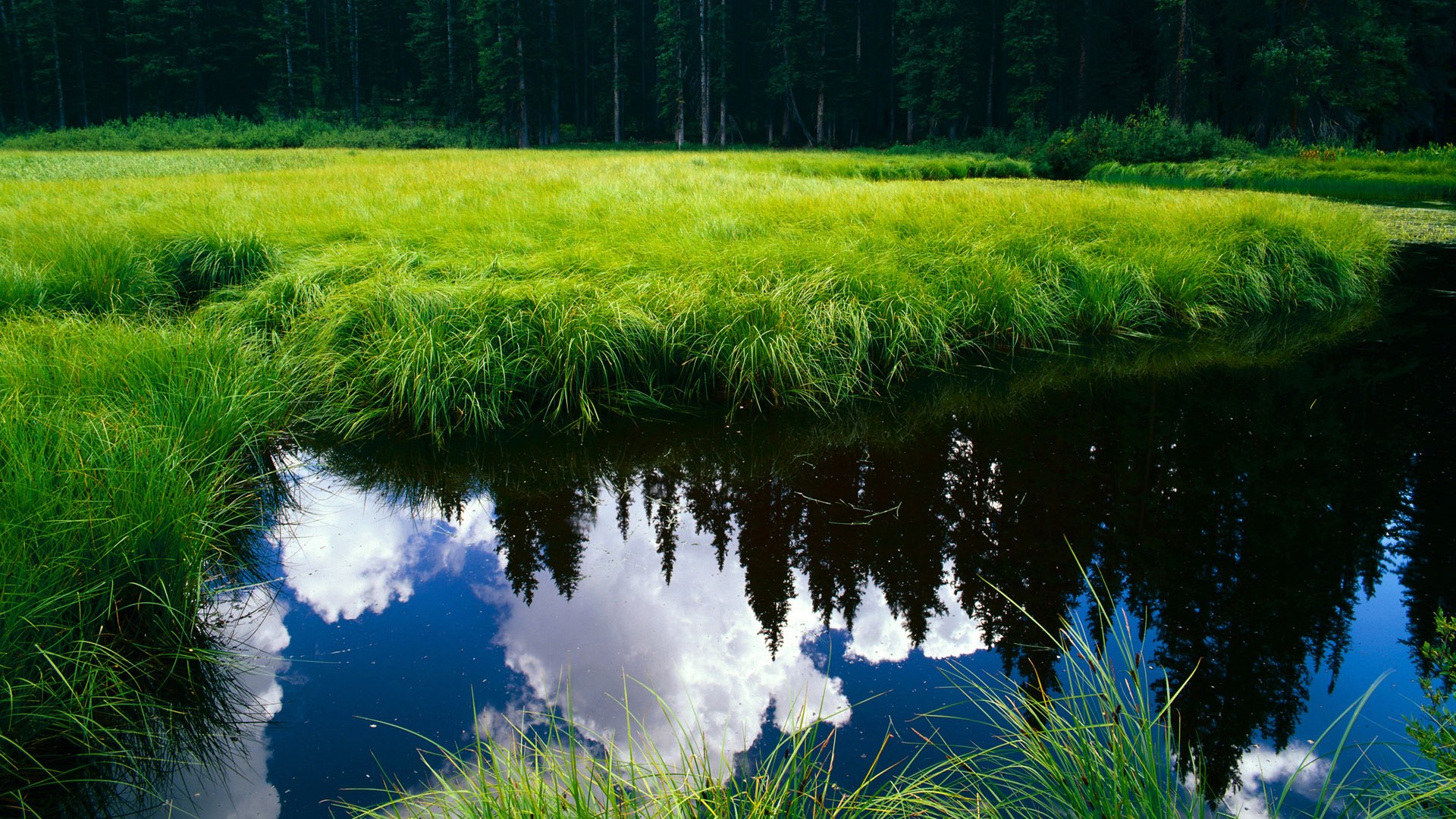 赛季收官在即,焦点人物表现值得期待