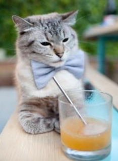 足球青训中心引进先进训练理念，人才培养质提升，足球青训招募