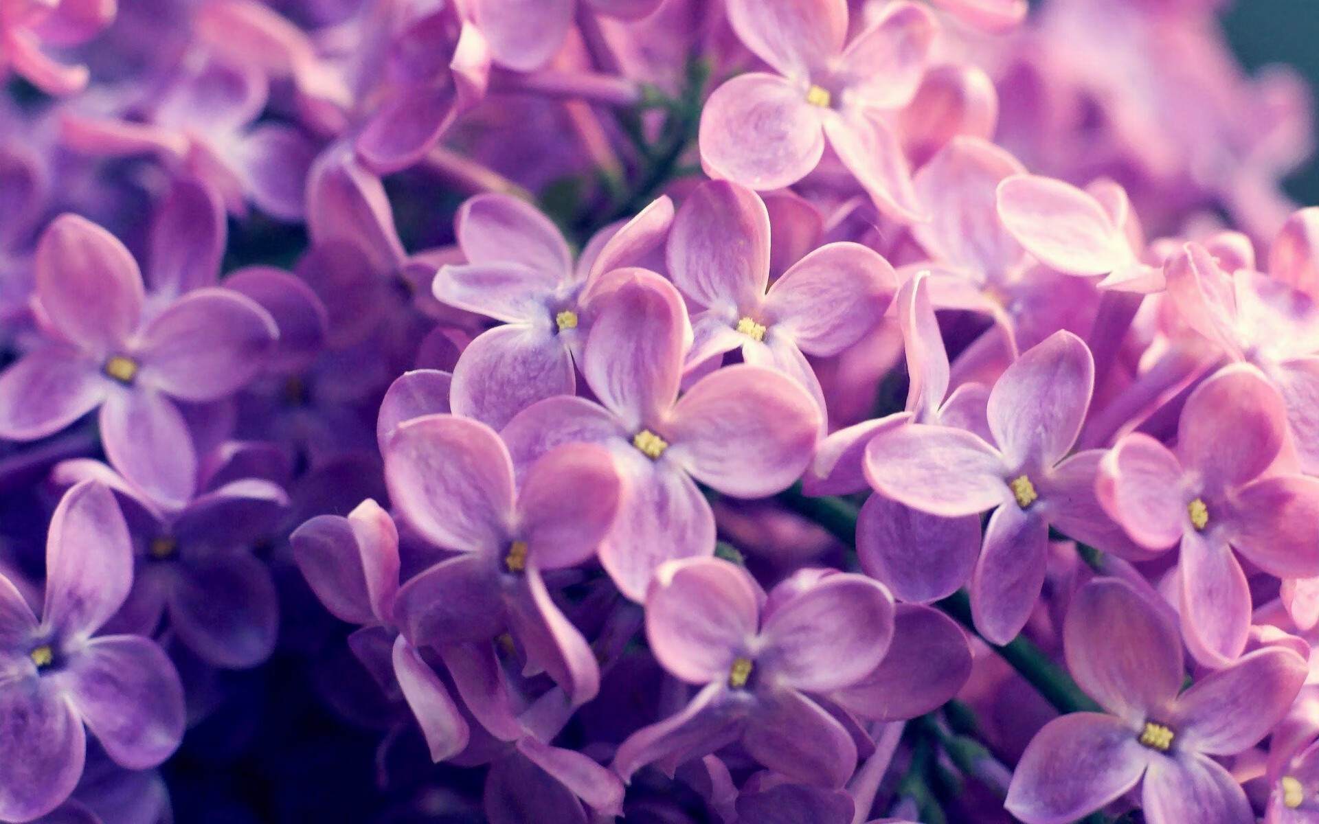 勇士击败快船库里三分准如雷，勇士打快船库里超远三分是哪一场