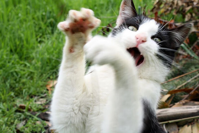 原州东浦新世代球员士气高涨，东原地产新蒲