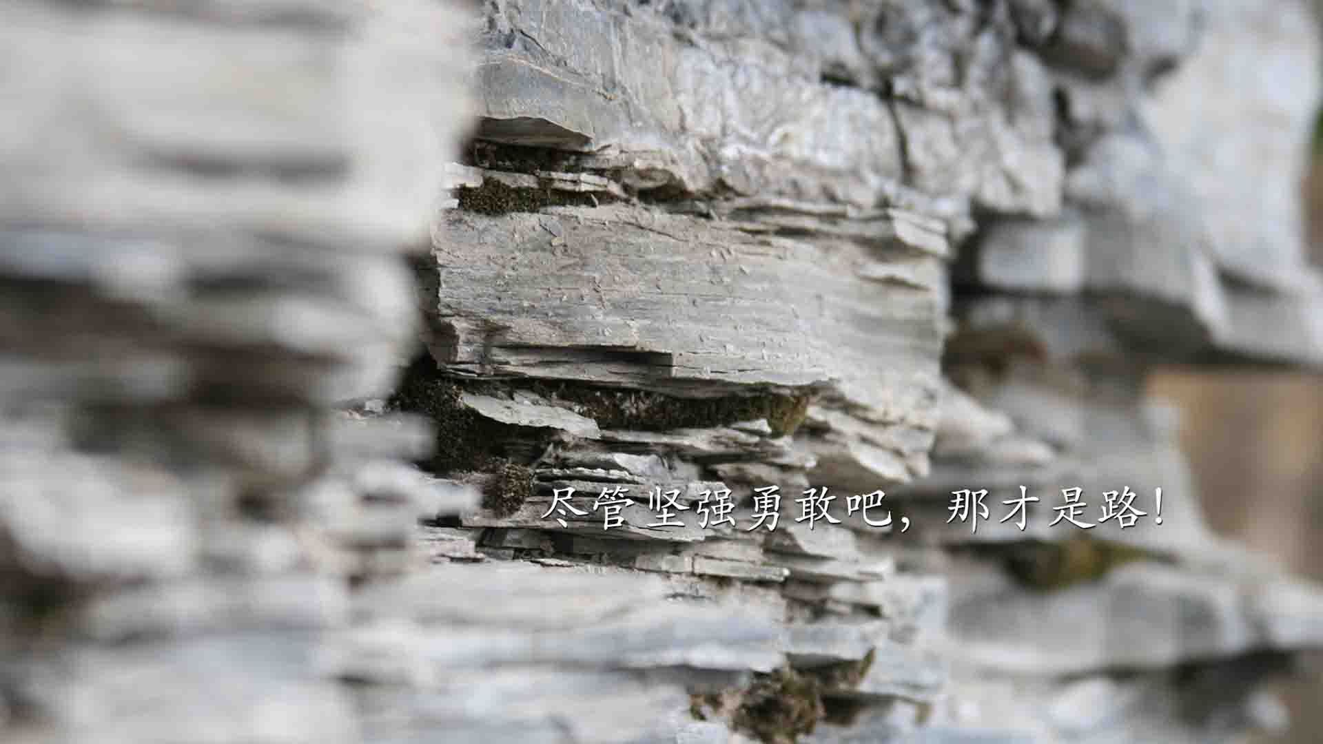 九游下载官网-王者荣耀电竞赛事与传统体育跨界合作，王者电竞赛事平台