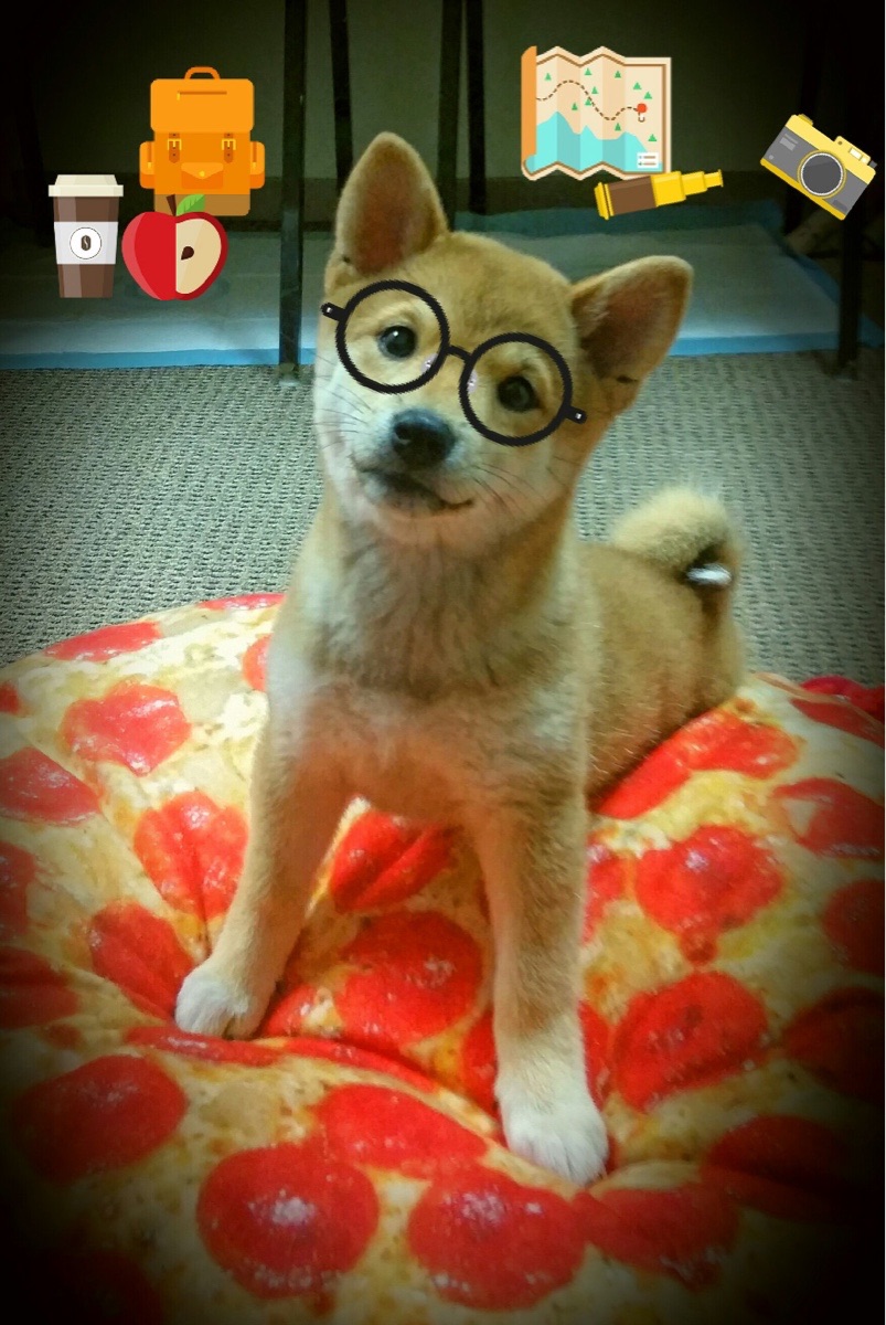 NBA联盟市场营销活动效果评估，nba营销模式对中国职业篮球的影响