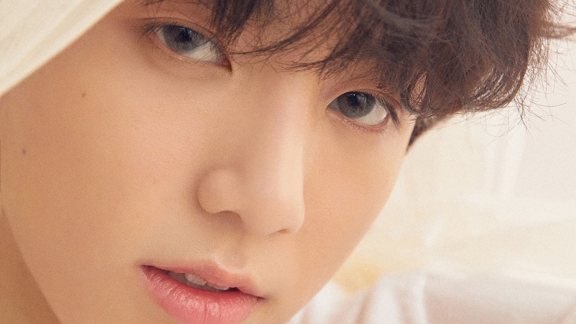 校园体育文化对学生创新能力的促进机制，校园体育文化对大学生体育精神的培养