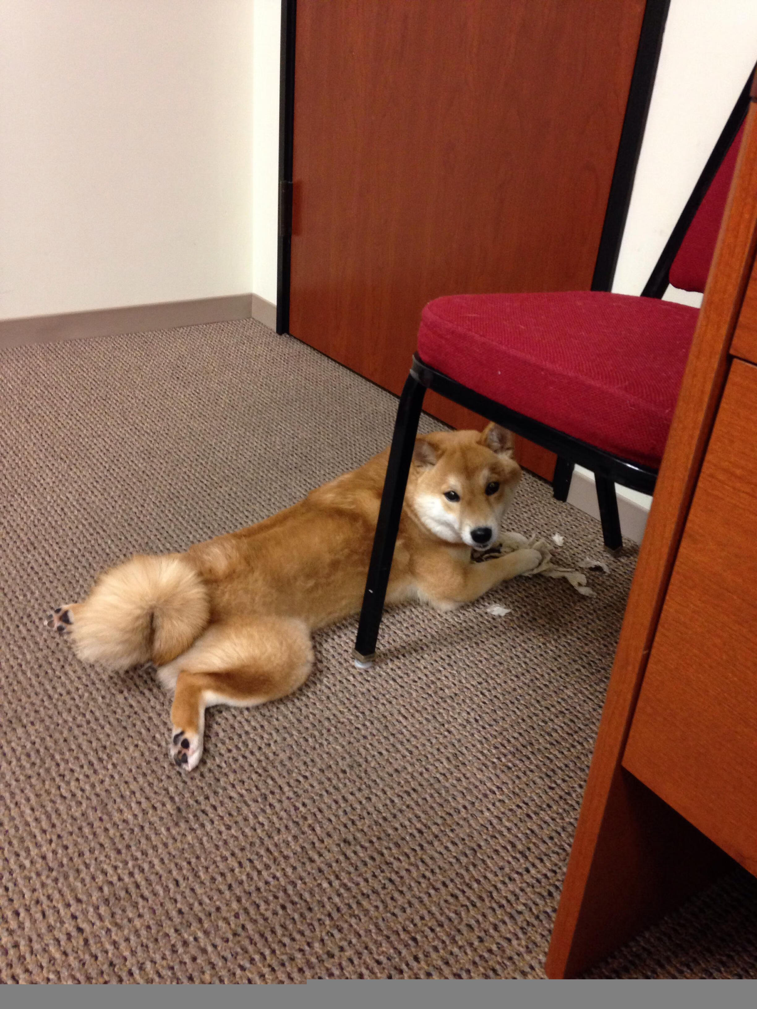 中超联赛中国青年队爆冷 球迷分析原因,中超联赛中国青年队爆冷 球迷分析原因