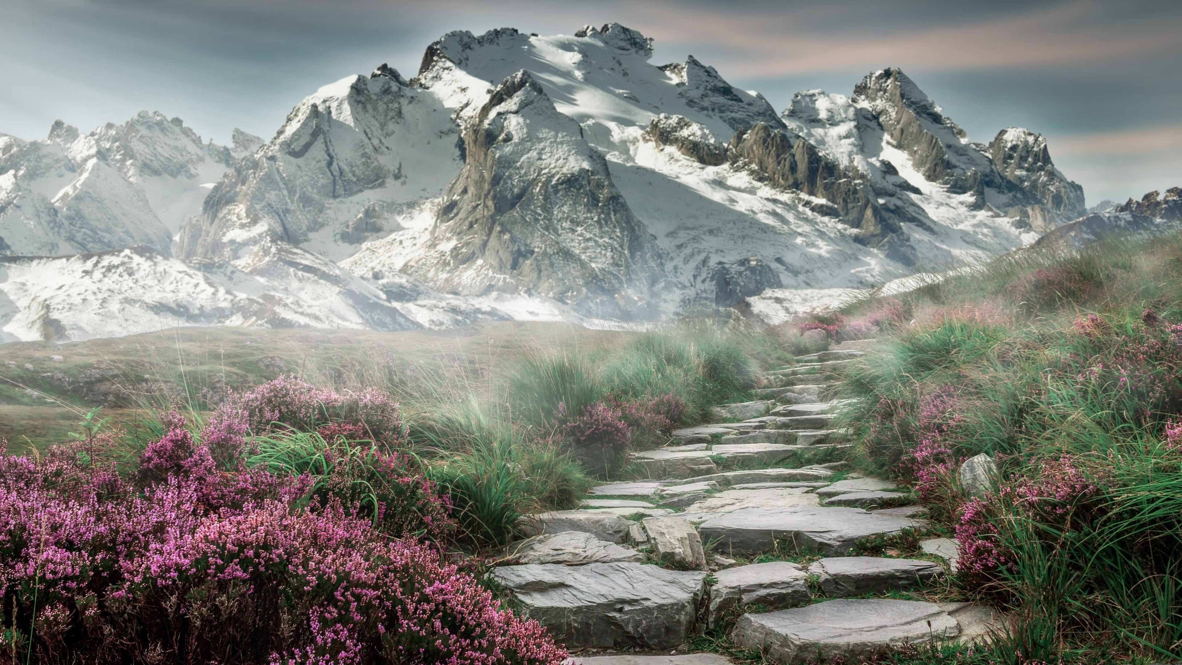 九游sports-外教更迭频繁导致战术不连贯