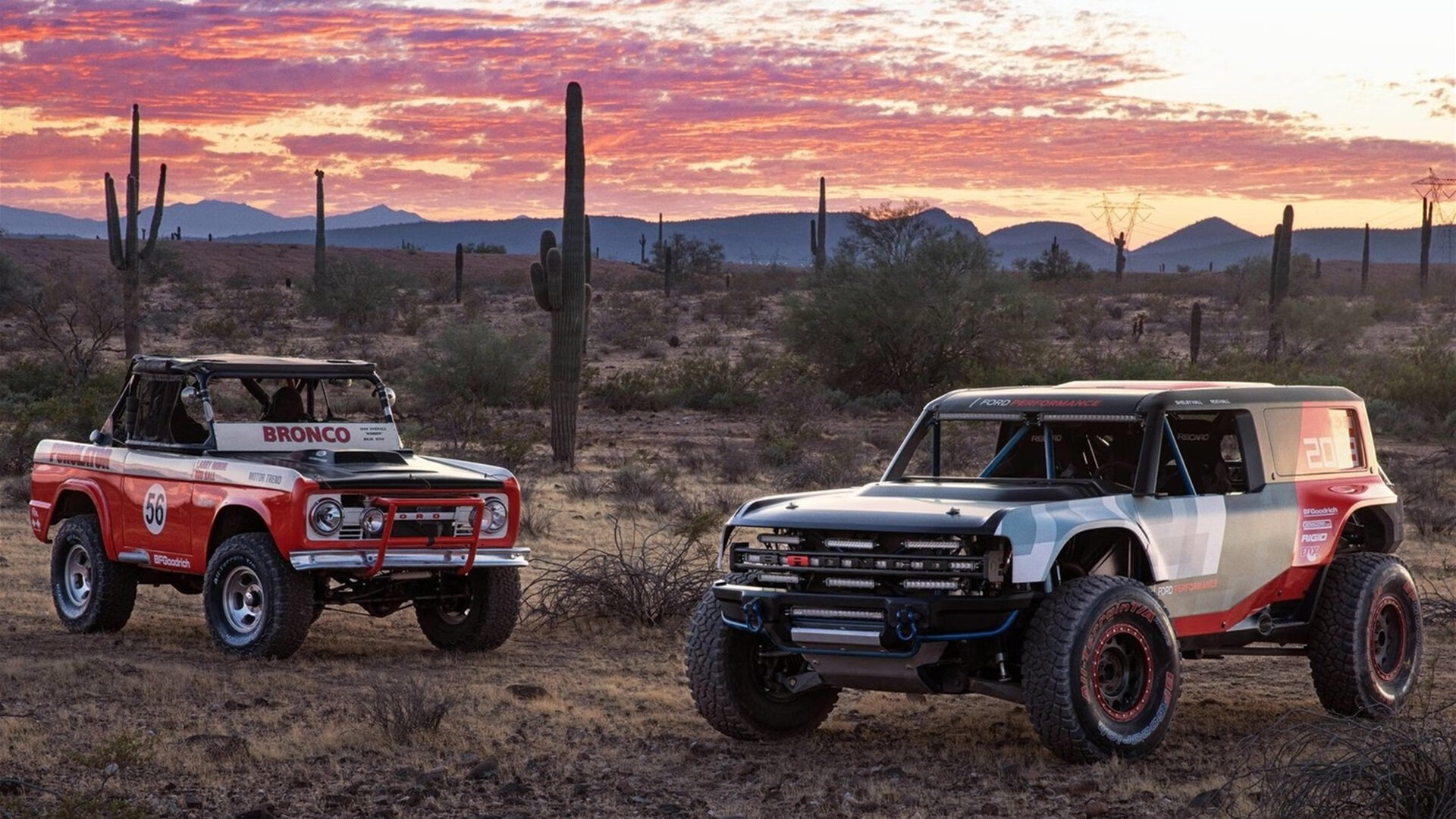 球队训练严谨，保障比赛状态巅峰，球队的训练计划包括哪些