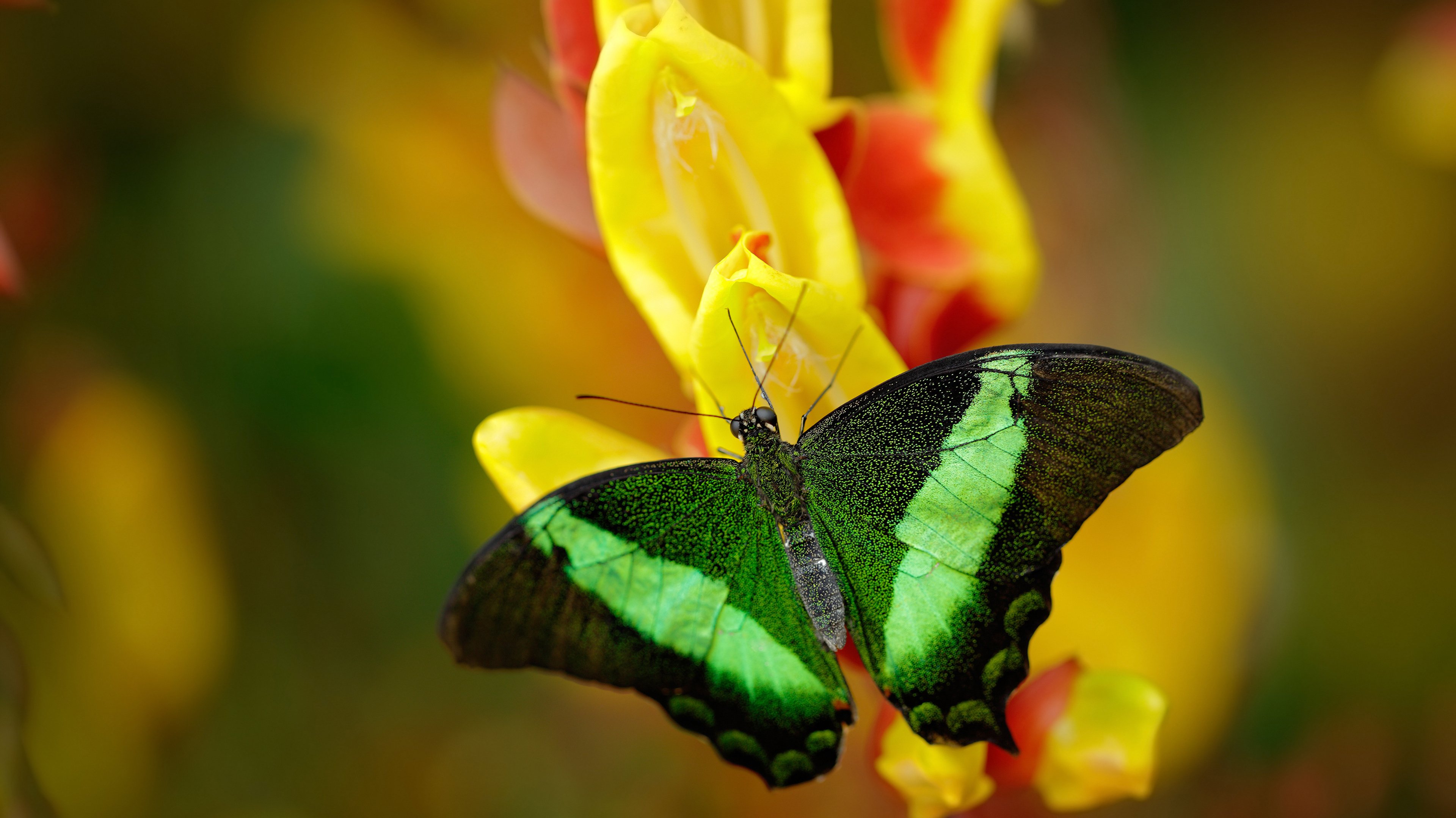 -节奏变化频繁是否更容易打乱对手换防体系，节奏变化的目的是什么