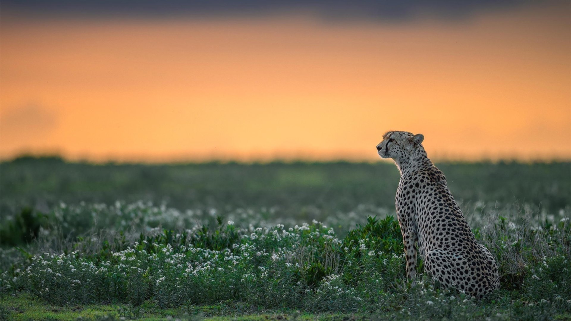 本·普劳德突破自我游出赛季最佳,本杰明普劳德