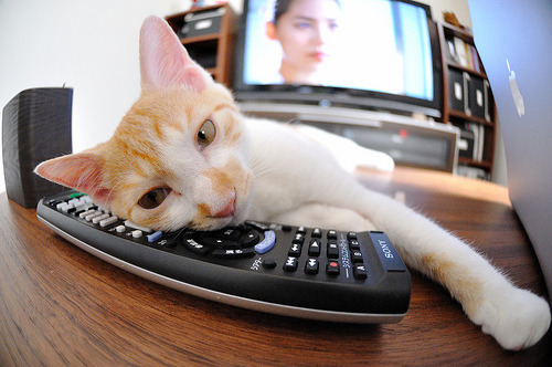 马其顿男篮在欧洲预选赛中展现成长,未来值得期待