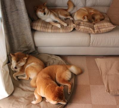 JIUYOU.COM-青训球员建立个体技能发展图谱支持因材施教与长期规划，青训体系