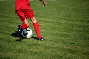 九游体育网页版-中国篮球教练员战术创新培训体系，全国篮球教练员岗位培训